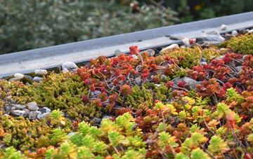 the cost of Ashfield Cum Thorpe green roof installation