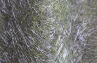 Ashfield Cum Thorpe fibreglass roof work